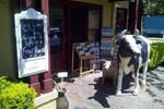Award winning iconic cafe in the beautiful Hunter Valley Wine Country NSW