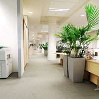 Commercial Cleaning Business image