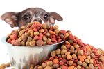 WANTED PET FOOD MANUFACTURING BUSINESS for SALE
