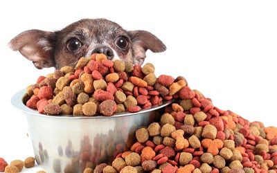 WANTED PET FOOD MANUFACTURING BUSINESS for SALE