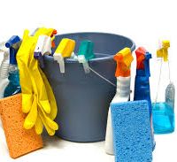 Lifestyle Cleaning business for sale in Sydney image
