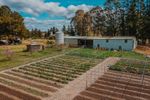 Fully operational vegetable business available