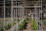Fully operational vegetable business available