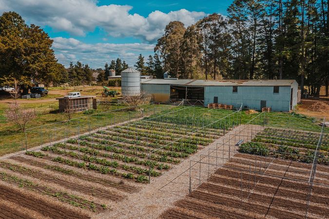 Fully operational vegetable business available