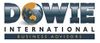Dowie International Business Advisors  logo